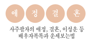  Ʈ